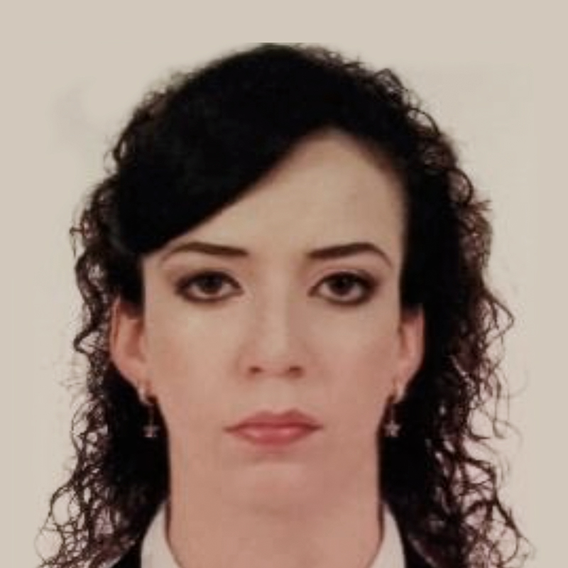 Dra. Lorena Velázquez Álvarez
