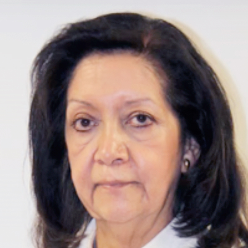 Dra. María Guadalupe Castro Martínez