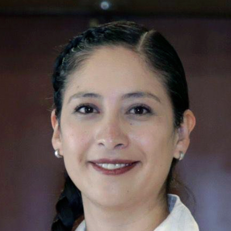 Mtra. María Nayeli Acosta Gutiérrez